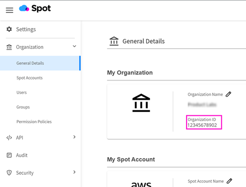 Organization ID in Spot console